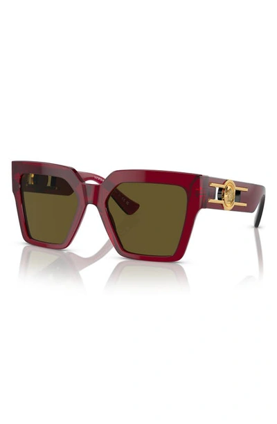 Shop Versace 55mm Butterfly Sunglasses In Bordeaux