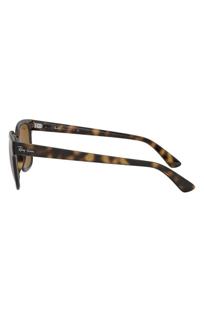 Ray Ban Ray In Havana