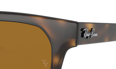 Ray Ban Ray In Havana