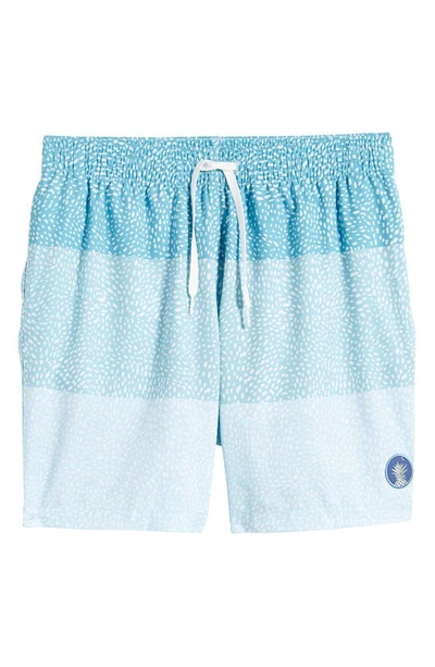 Shop Chubbies Classic 7-inch Swim Trunks In The Whale Sharks