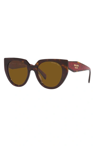 Shop Prada 52mm Polarized Cat Eye Sunglasses In Tortoise