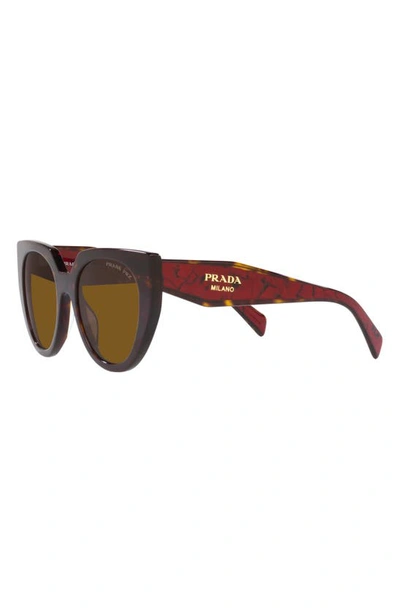 Shop Prada 52mm Polarized Cat Eye Sunglasses In Tortoise