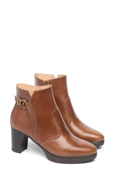 Shop Nerogiardini Platform Bootie In Cognac