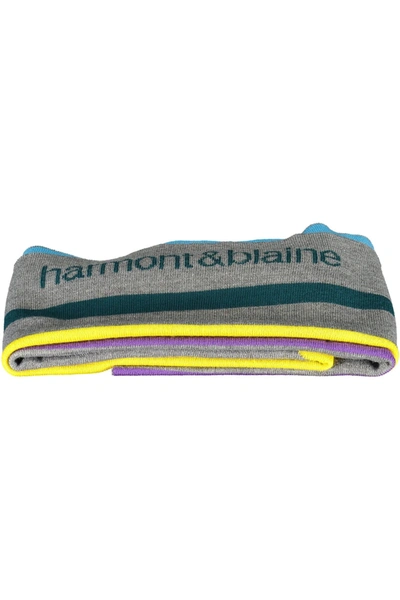 Shop Harmont & Blaine Gray Wool Men's Scarf