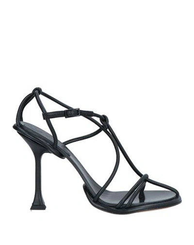 Lanvin Woman Thong Sandal Black Size 8 Lambskin, Calfskin In Black