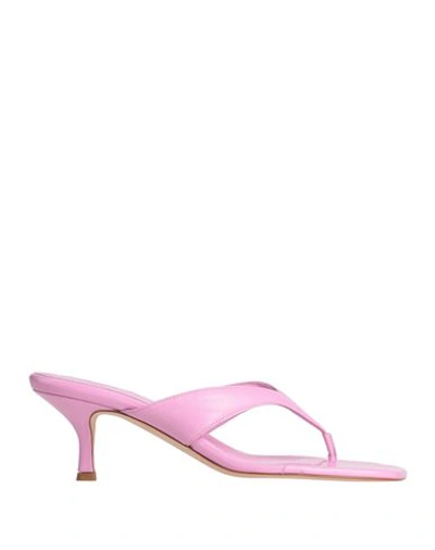 Shop Liviana Conti Woman Thong Sandal Pink Size 9 Soft Leather