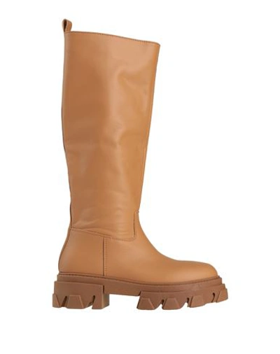 Shop Tsd12 Woman Boot Tan Size 8 Calfskin In Brown