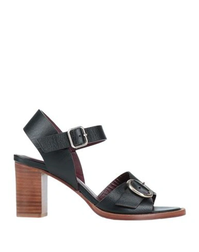 Shop Avril Gau Woman Sandals Black Size 6.5 Soft Leather