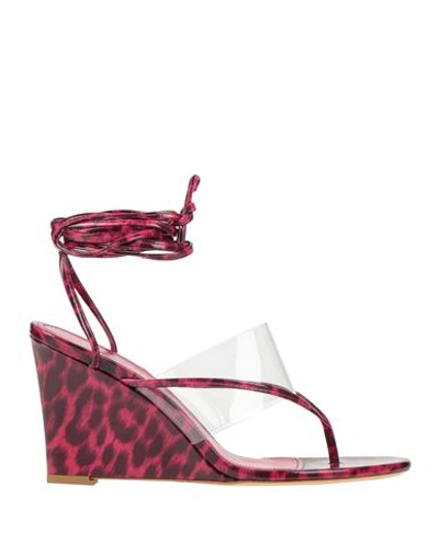 Bettina Vermillon Woman Thong Sandal Magenta Size 8 Soft Leather, Rubber In Magenta