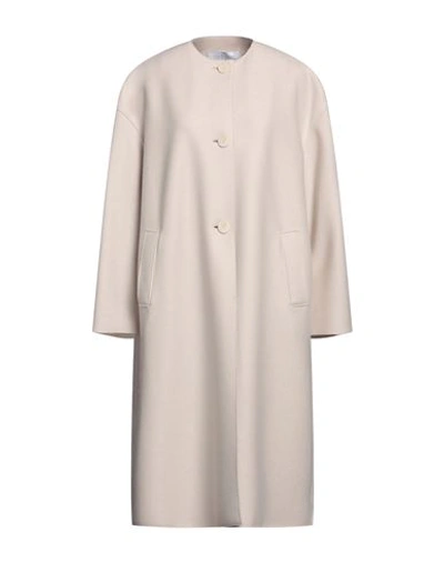 Shop Harris Wharf London Woman Coat Ivory Size 10 Virgin Wool In White