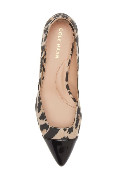 Shop Cole Haan Vanessa Pointed Toe Skimmer In Leopard Jacquard/ Black