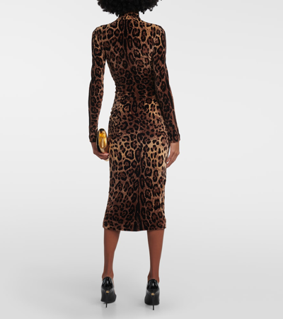 Shop Dolce & Gabbana Jacquard Leopard-print Midi Dress In Brown