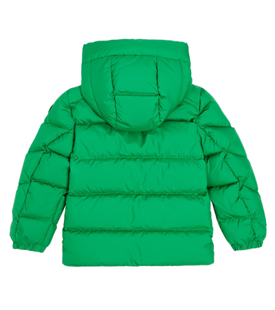 Shop Woolrich Authentic Quilted Down Jacket In Green