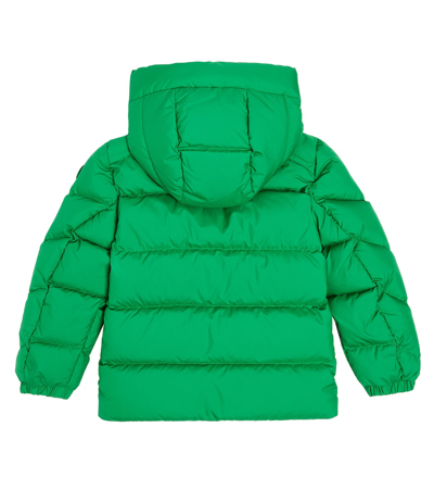 Woolrich Authentic Jacket In Green