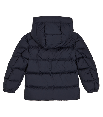 Woolrich Authentic Jacket In Blue