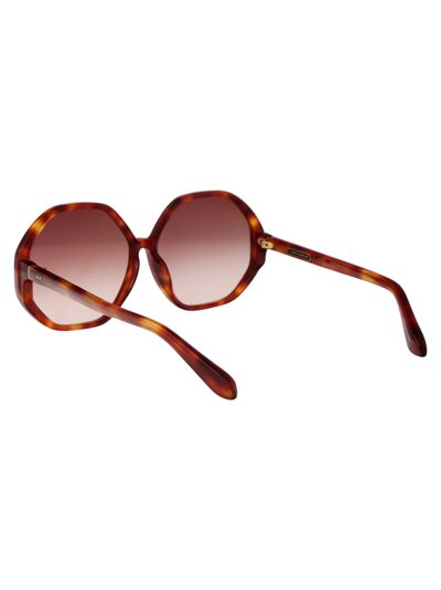 Shop Linda Farrow Paloma Sunglasses In 03 Amber Amber T-shell Optical