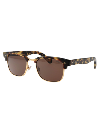 Shop Polo Ralph Lauren 0ph4202 Sunglasses In 608773 Shiny Camo Havana