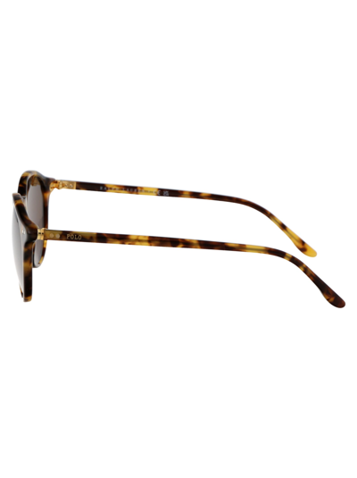 Shop Polo Ralph Lauren 0ph4193 Sunglasses In 535273 Shiny Spotty Havana