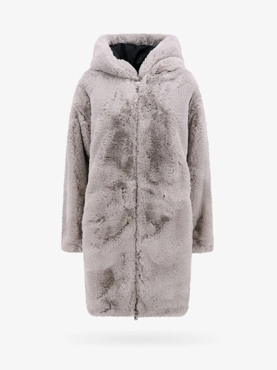 Shop Moose Knuckles Jacket In Grey