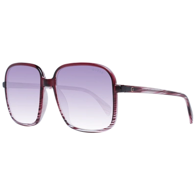 Shop Guess Purple Women Sunglasses