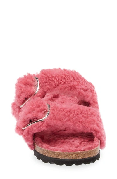 Birkenstock Women's Arizona Big Buckle Shearling Slide Sandals In Fuchsia Tulip