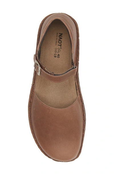Naot Catania Mary Jane Flat In Oily Bark Nubuck