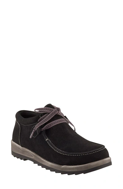 Shop David Tate Mojo Sneaker In Black Suede