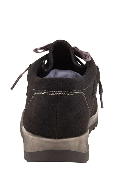 David Tate Mojo Sneaker In Black Suede