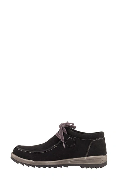 David Tate Mojo Sneaker In Black Suede