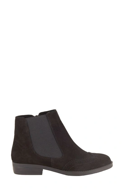 David Tate Tilly Chelsea Boot In Black Suede