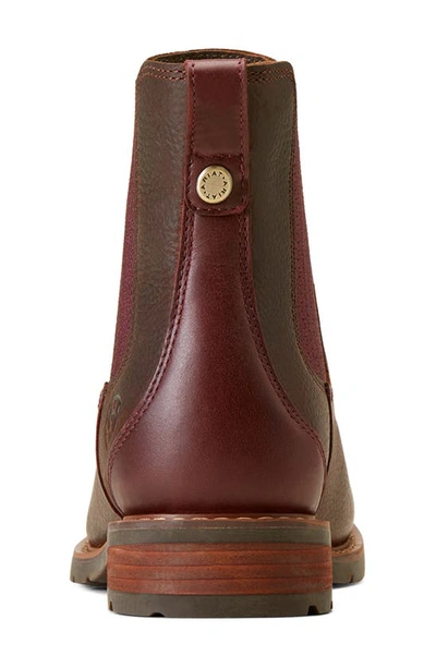 Shop Ariat Wexford Waterproof Chelsea Boot In Dark Brown