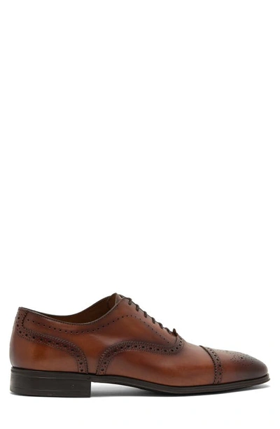 Shop Antonio Maurizi Cap Toe Brogue Leather Oxford In Castagno