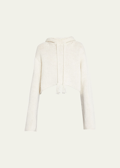 Shop Ulla Johnson Luciana Cropped Wool And Cashmere Crochet Hoodie In Ivory