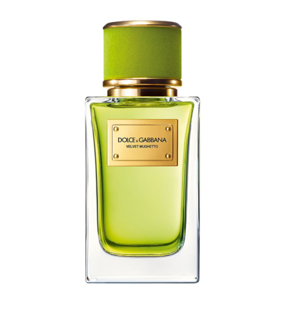 Shop Dolce & Gabbana Velvet Mughetto Eau De Parfum (100ml) In Multi