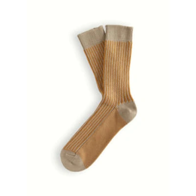 Shop Thunders Love Link Collection Vertical Brown Socks