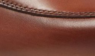 Nordstrom Dino Penny Loafer In Brown Leather