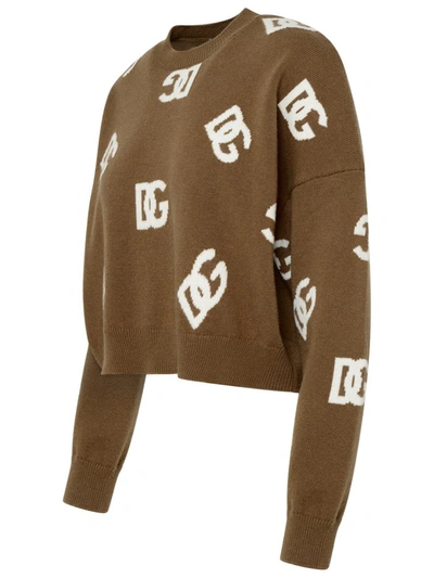Shop Dolce & Gabbana Brown Wool Sweater In Beige