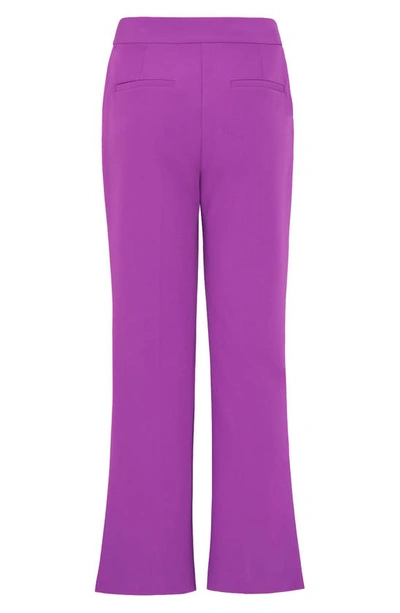 Shop Milly Cady Flare Crop Pants In Vivid Violet