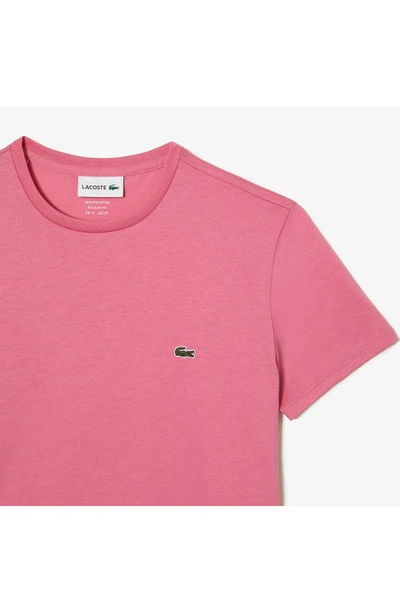 Shop Lacoste Pima Cotton T-shirt In 2r3 Reseda Pink