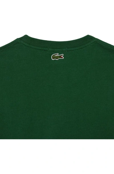 Shop Lacoste Regular Fit Crewneck Cotton T-shirt In 132 Vert