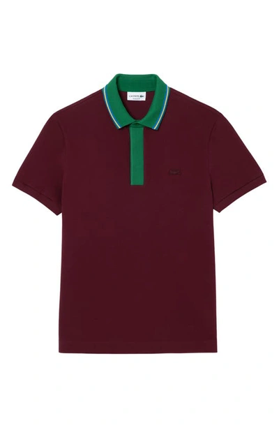 Shop Lacoste Regular Fit Tipped Cotton Piqué Polo In Yup Zin