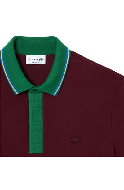 Lacoste Ph1125 Pol In Yup Zin