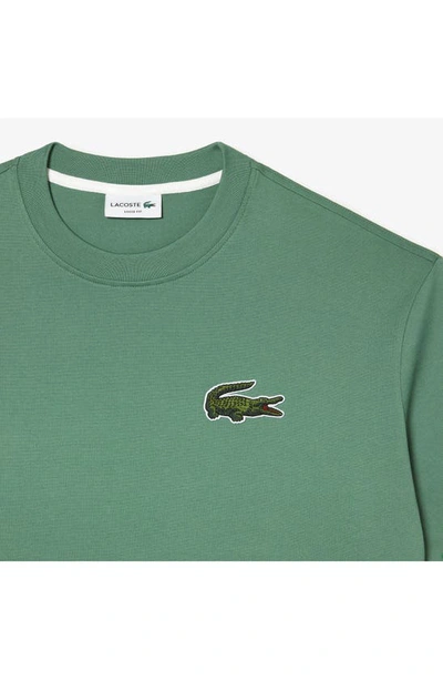 Shop Lacoste Loose Fit Crocodile Badge T-shirt In Ash Tree