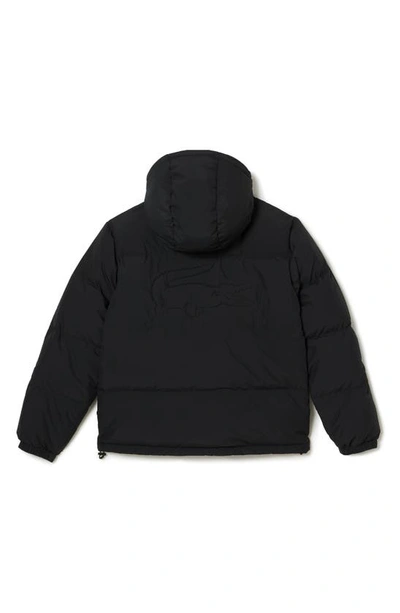 Shop Lacoste Puffer Jacket In Noir