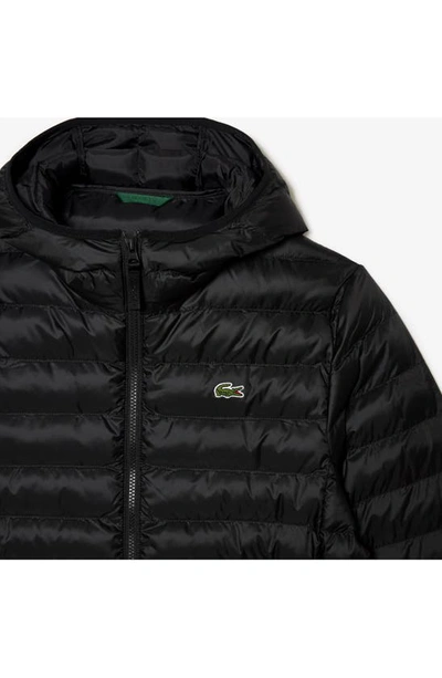 Shop Lacoste Quilted Puffer Coat In 031 Noir