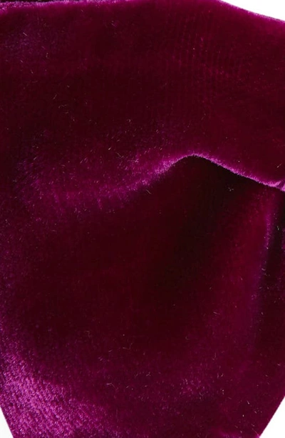 Shop Tom Ford Pre-tied Velvet Bow Tie In Purple Peony