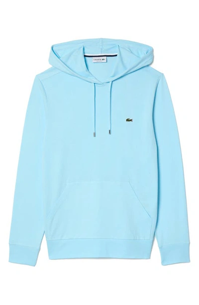 Shop Lacoste Pullover Hoodie In Siz Agrion