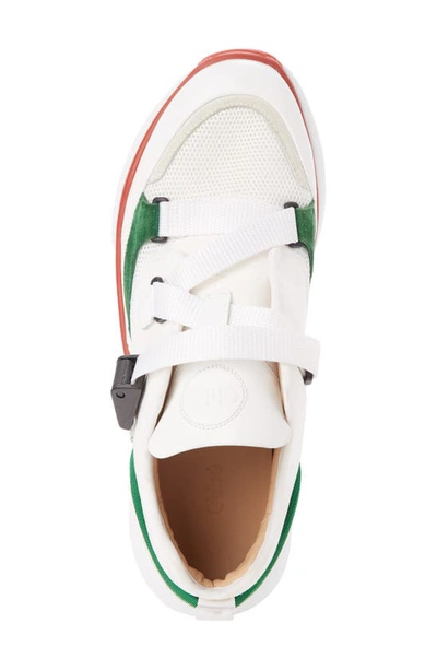 Shop Chloé Sonnie Low Top Sneaker In Jungle Green