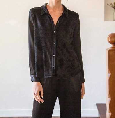 Red Haute Velvet Boyfriend Shirt In Black In Black