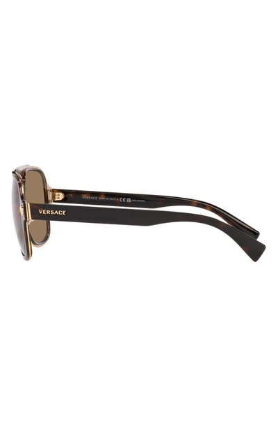 Shop Versace 56mm Polarized Aviator Sunglasses In Havana